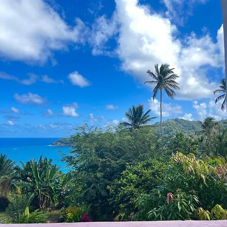 Hotel Happy Nest Dominica Marigot Exterior foto