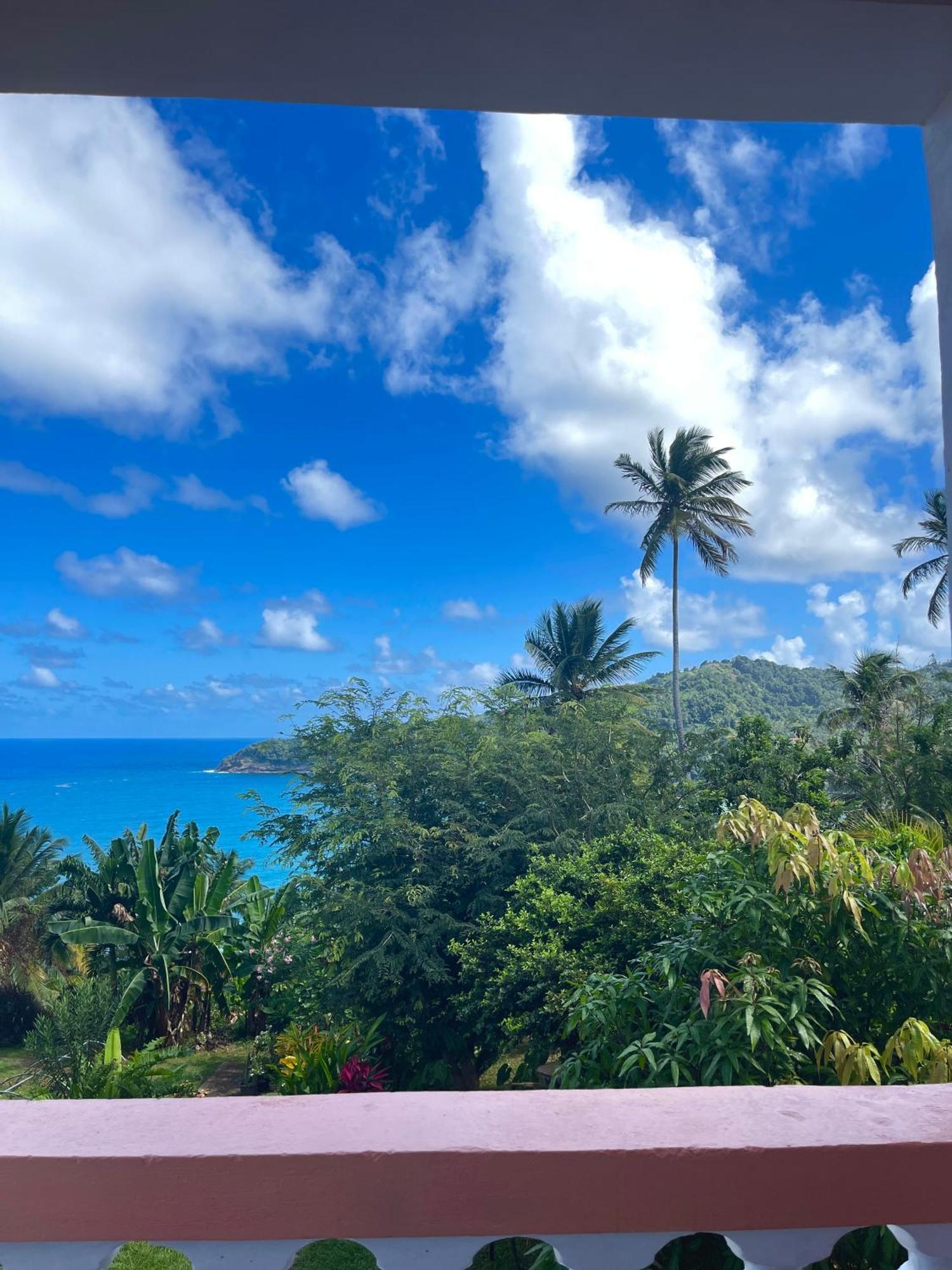 Hotel Happy Nest Dominica Marigot Exterior foto