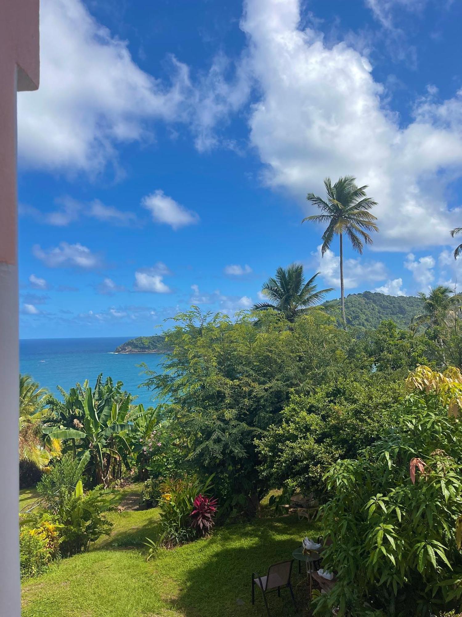 Hotel Happy Nest Dominica Marigot Exterior foto